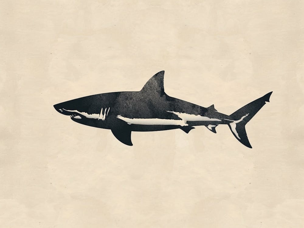 Great White Shark  Grey Silhouette 4