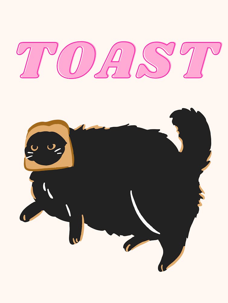 Toast Funny Cat Print