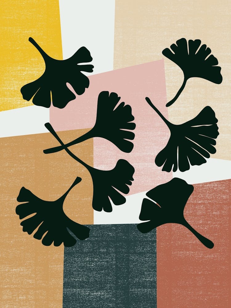 Ginkgo Leaves 1