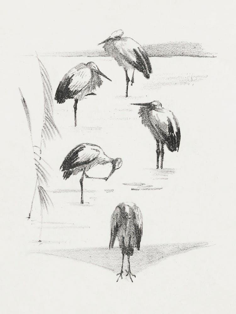 Greeting Card With Five Storks (1878–1917), Theo Van Hoytema