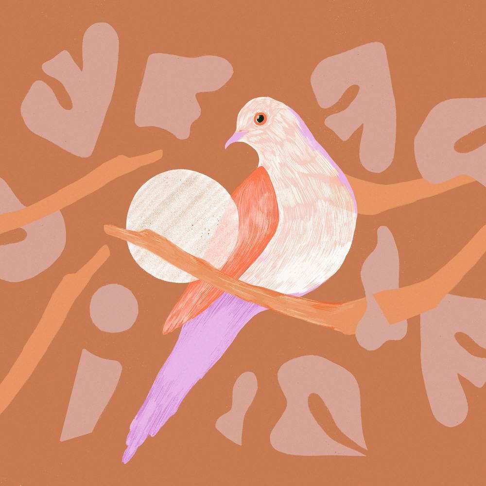 Birdy On The Perch 2