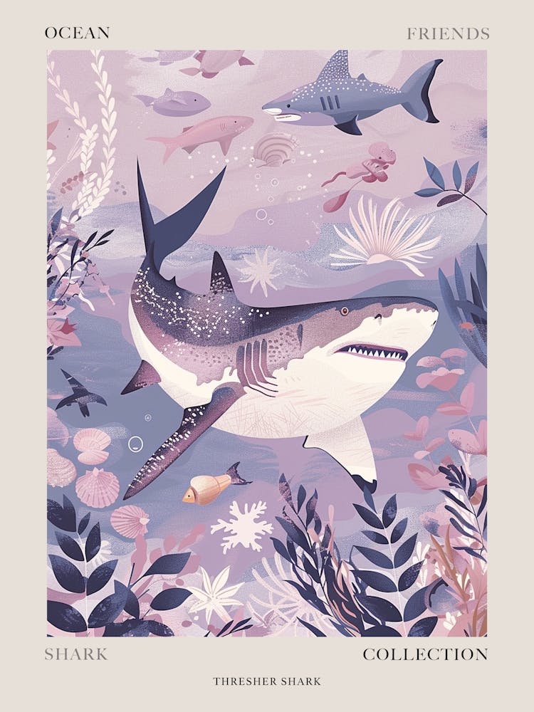 Purple Thresher Shark Illustration 1 Poster