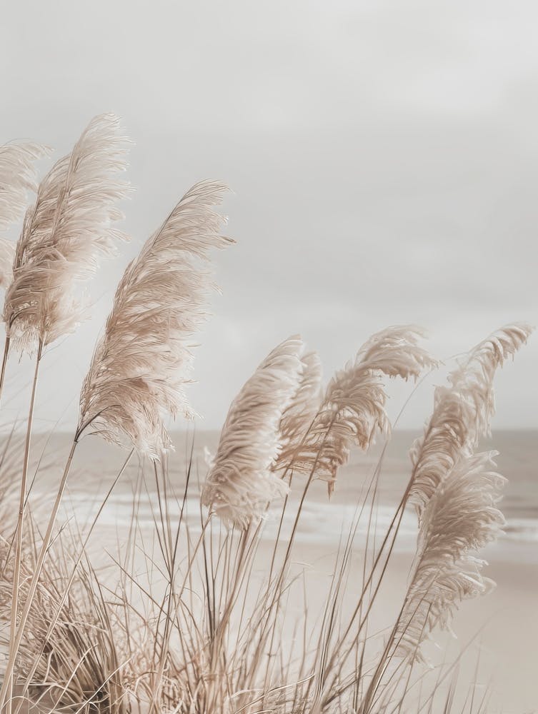 Pampas Grass At The Beach