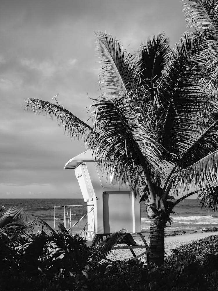 Hawaiian Lifeguard Post II