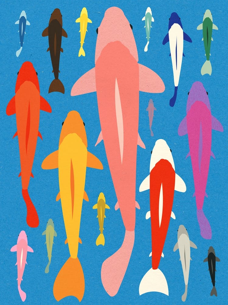 Gang de Koi