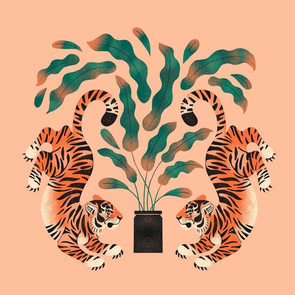 Tiger Twins In Pink Square