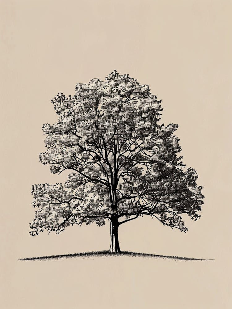 Oak Tree Minimalistic Drawing 1