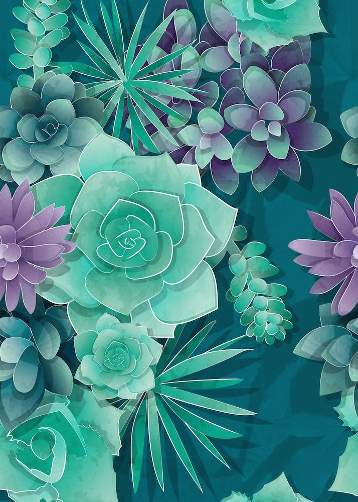 Amour Des Succulentes // Succulentes Vertes