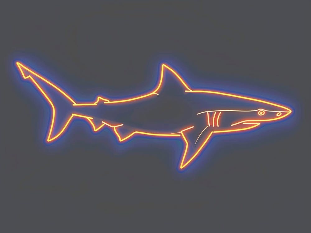 Neon Thresher Shark  2
