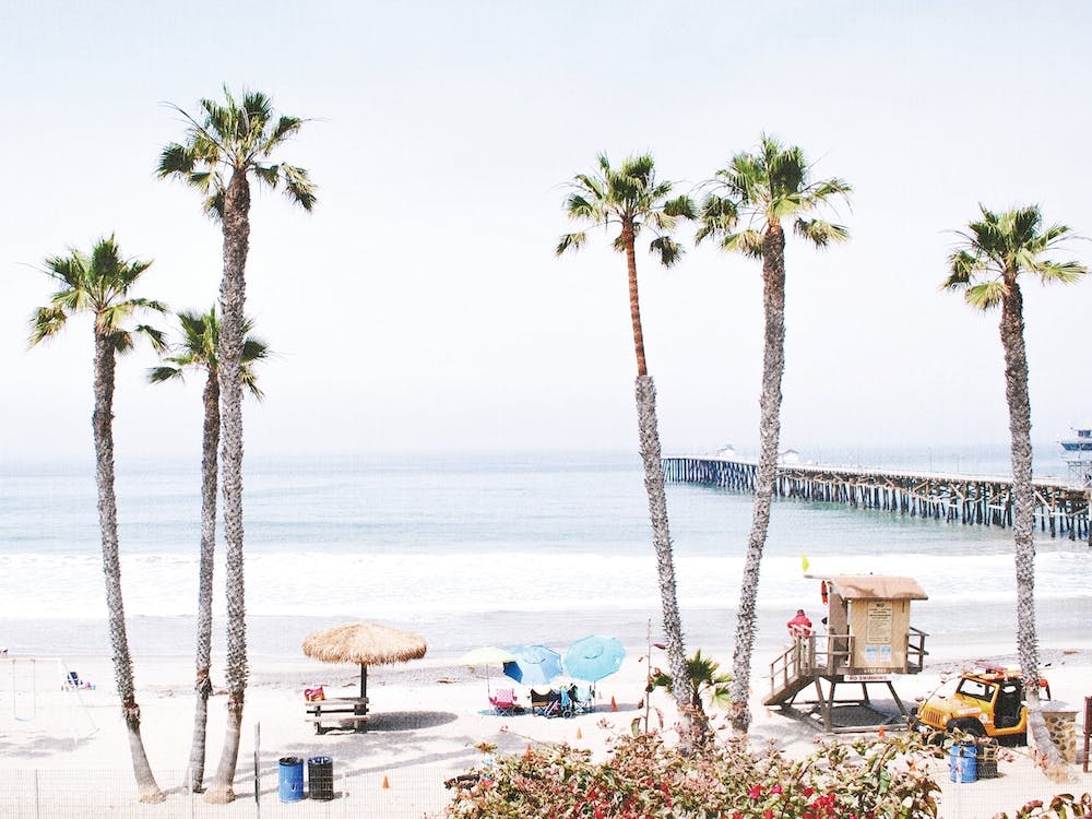 Palm Beach