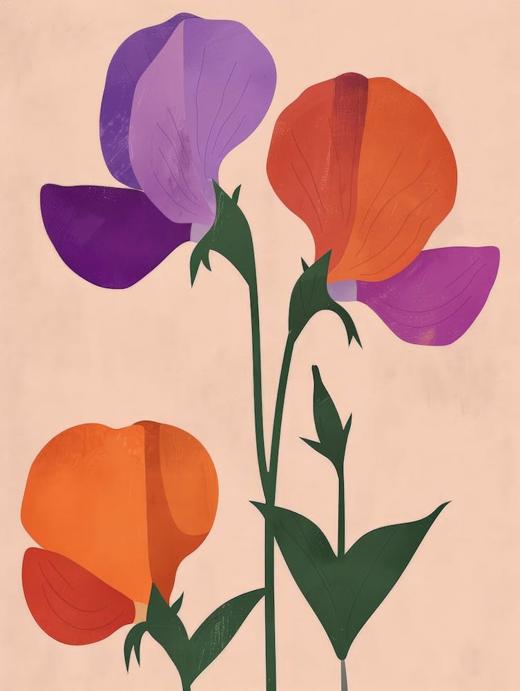 Sweet Peas 6