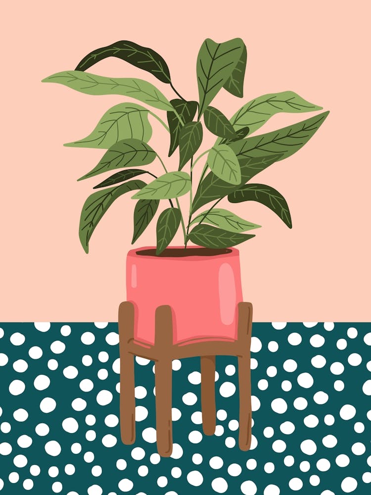 Teal Polkadot Houseplant