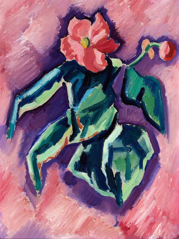Pink Begonias, Marsden Hartley