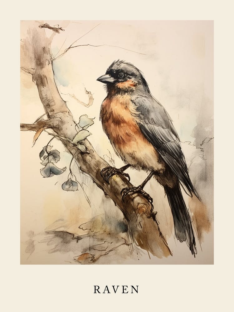 Beatrix Potter Inspired  Animal Watercolour Raven 2