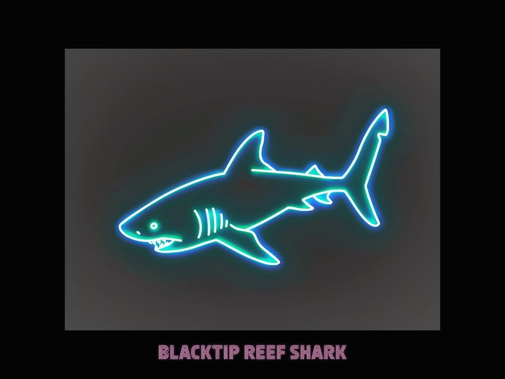 Neon Pink Blacktip Reef Shark Poster 2
