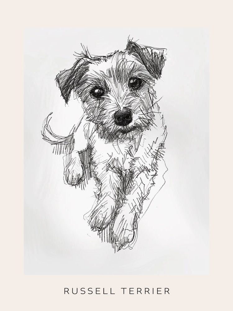 Russell Terrier Dog Line Sketch 2 Poster