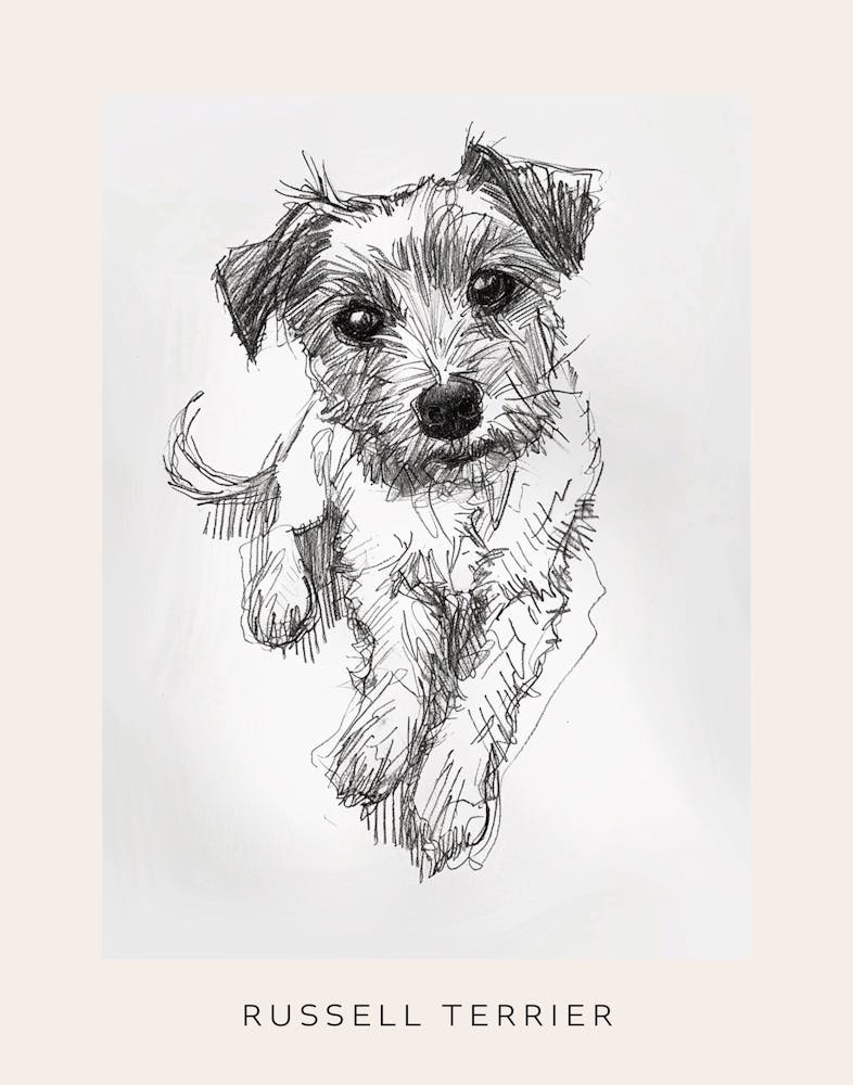 Russell Terrier Dog Line Sketch 2 Poster