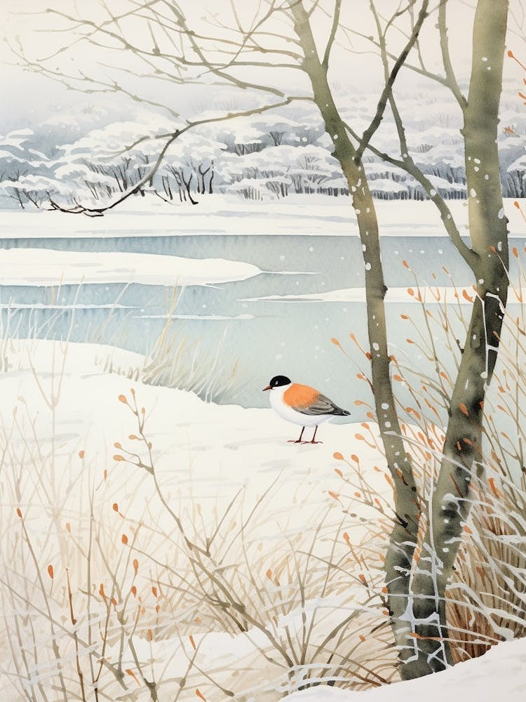 Winter Bird Painting Coot 3