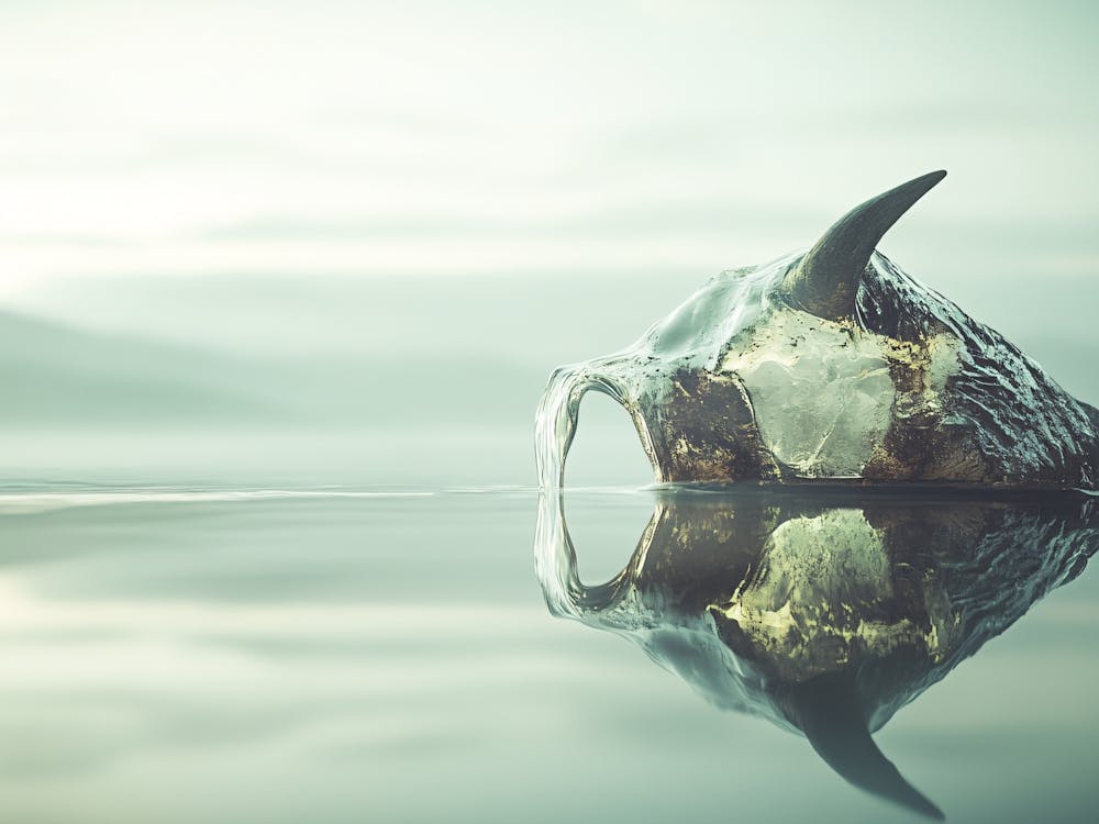 Reflection Of A Whale In Water