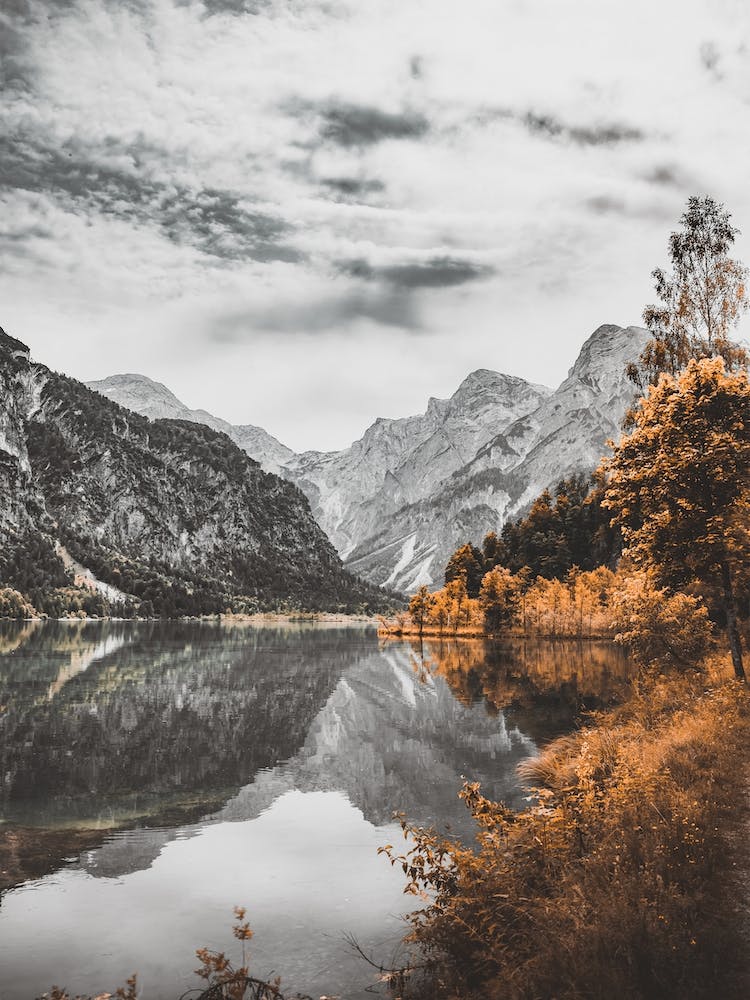 Mountain Autumn Trees
