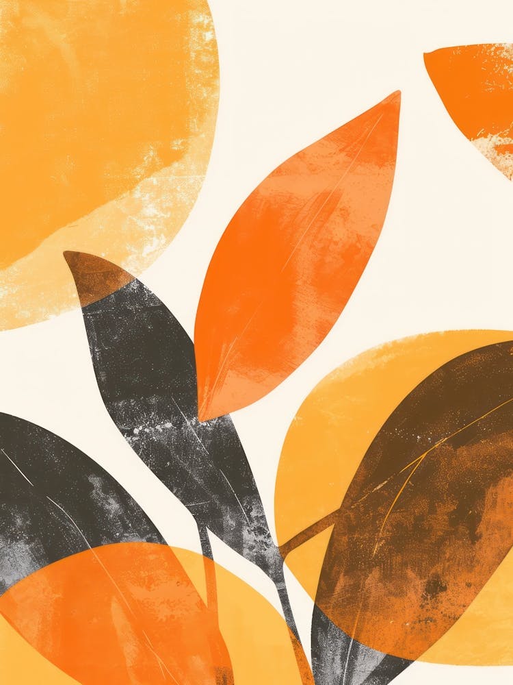 Oranges Close Up Illustration 3