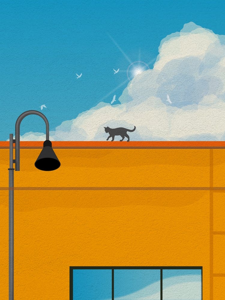 Minimal art Architecture Cat On A Yellow Roof