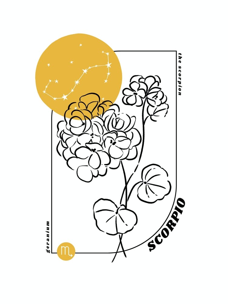 Scorpio Birth Flower & Zodiac Sign