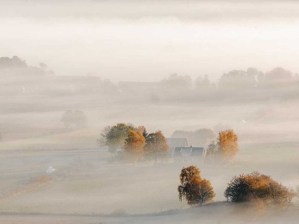 Foggy Homestead Morning