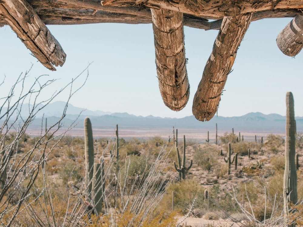 Old Desert Cabin View