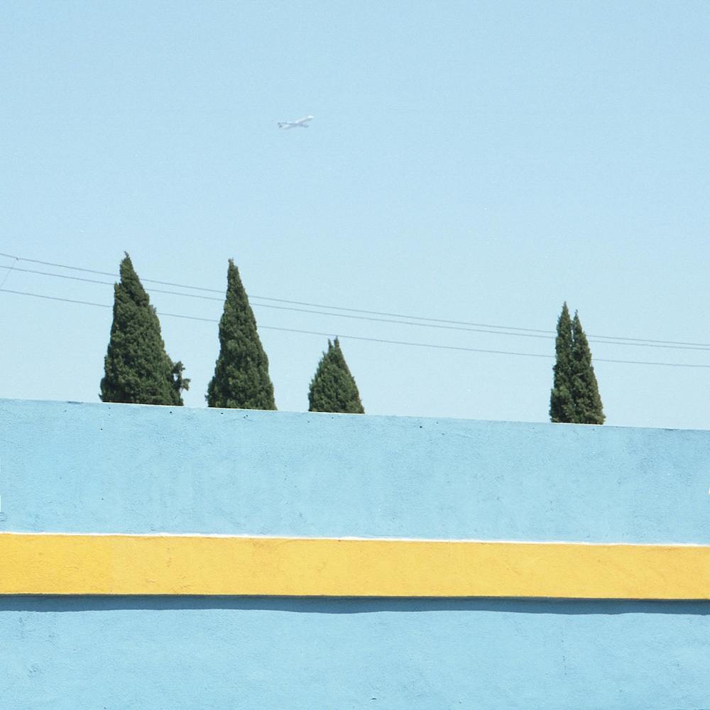 Trees I