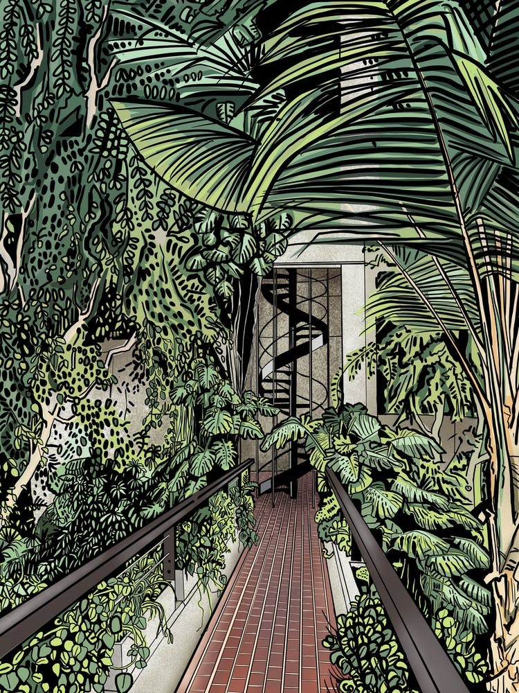 Barbican Conservatory Spiral Staircase