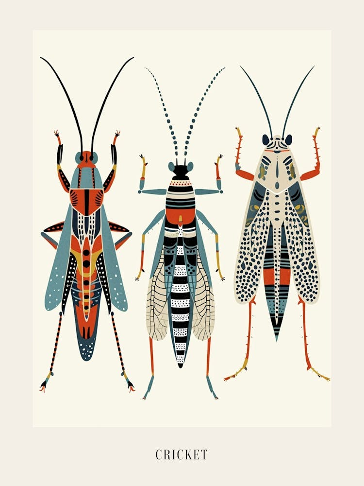 Colourful Insect Illustration Cricket 11 Poster