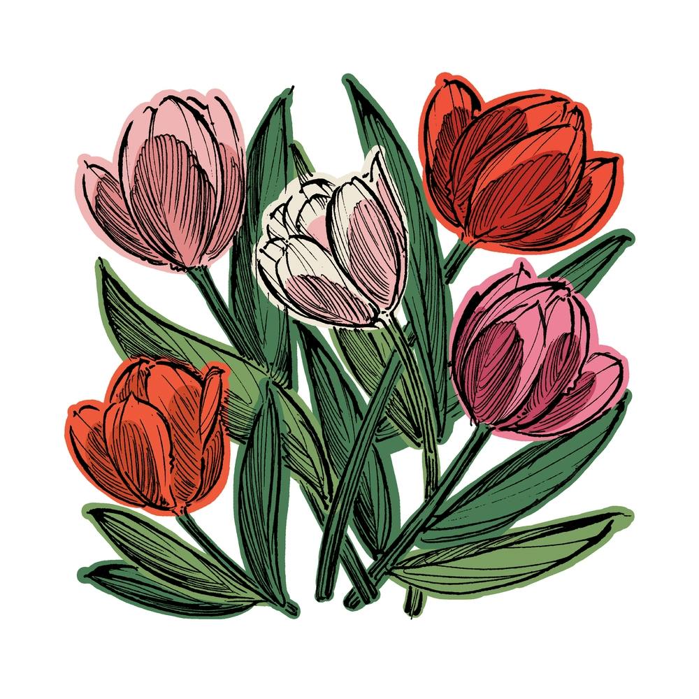 Red & Pink Tulips Square