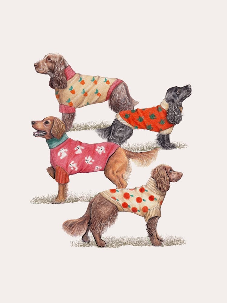 Spaniels In Sweaters