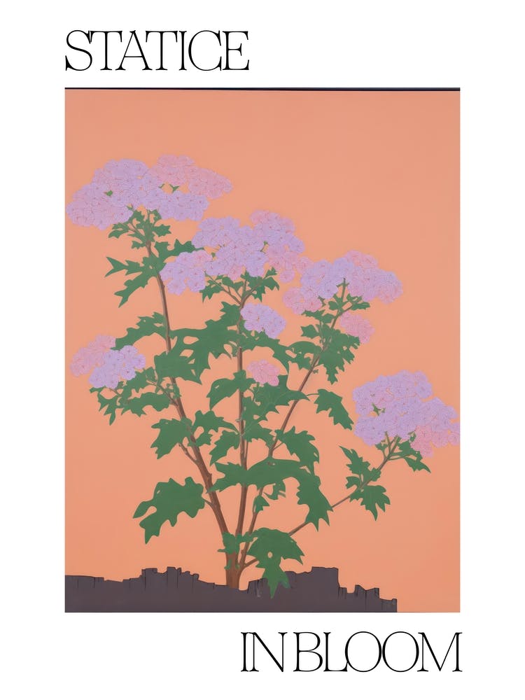 Statice In Bloom Flowers Bold Illustration 1