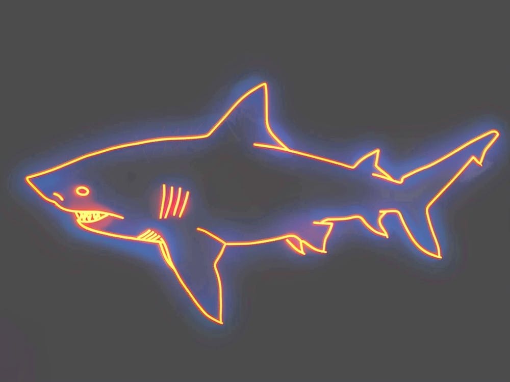 Neon Orange Carpet Shark 1