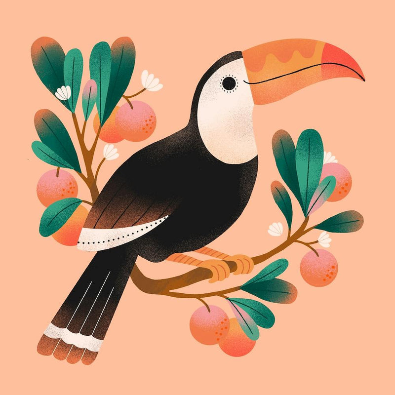 Summer Toucan Square
