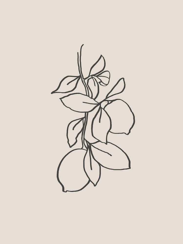 Lemon Beige Line Art 01