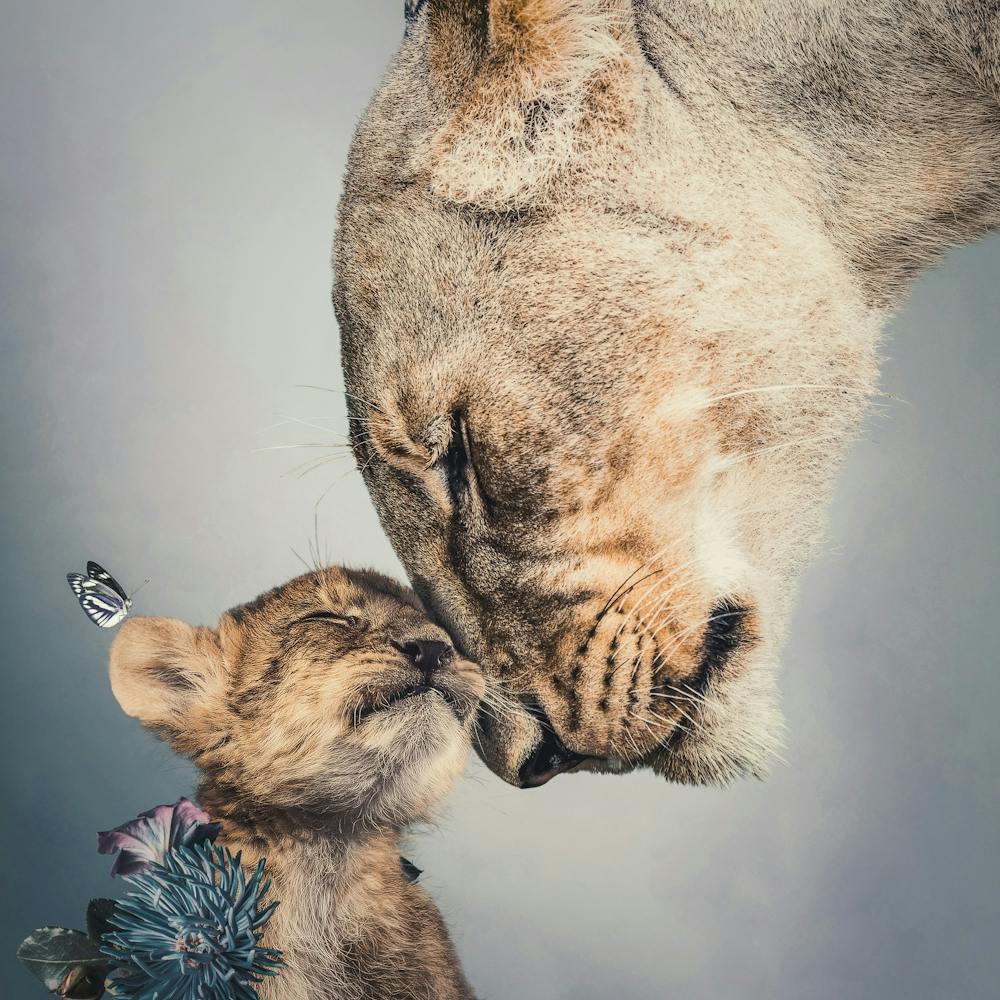 Lioness And Cub Light