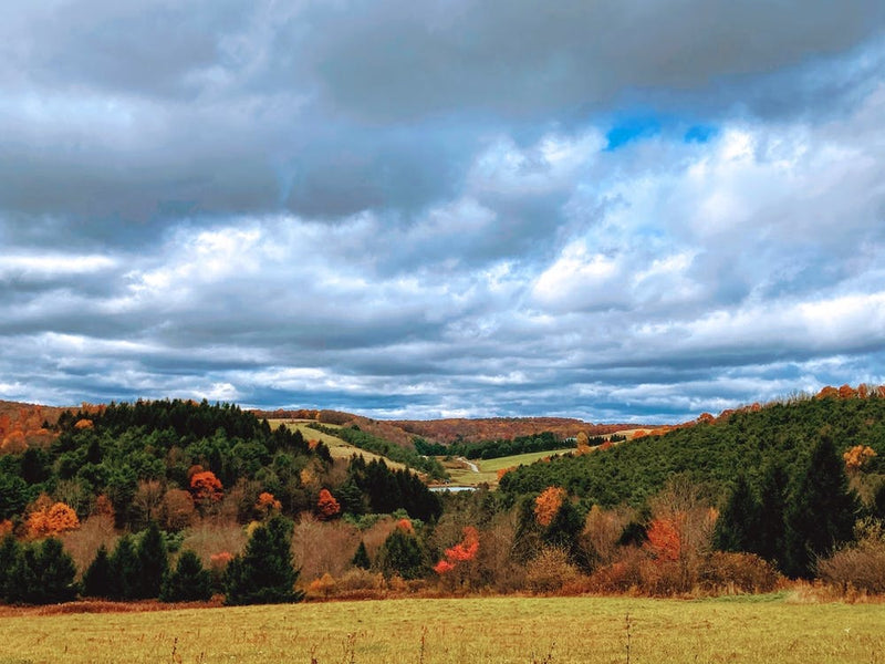 Fall On The Farm
