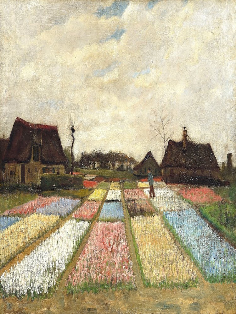 Tulip Fields