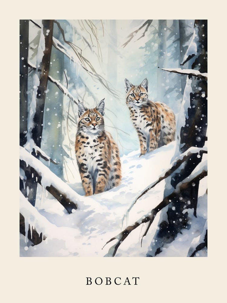 Winter Watercolour Bobcat Poster