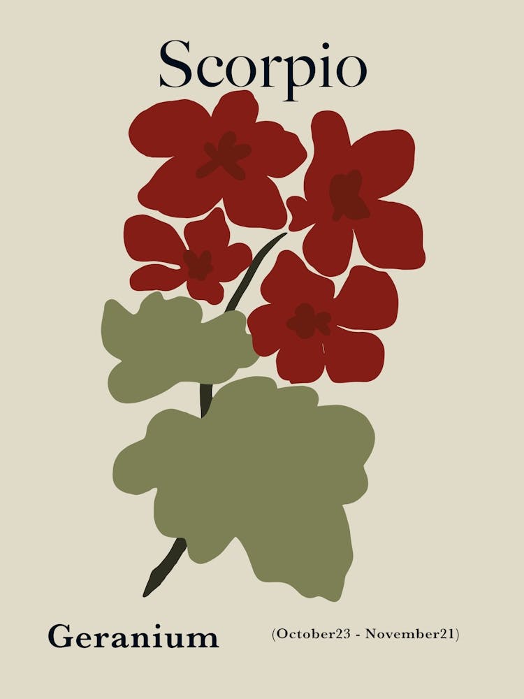 Scorpio Red Geranium