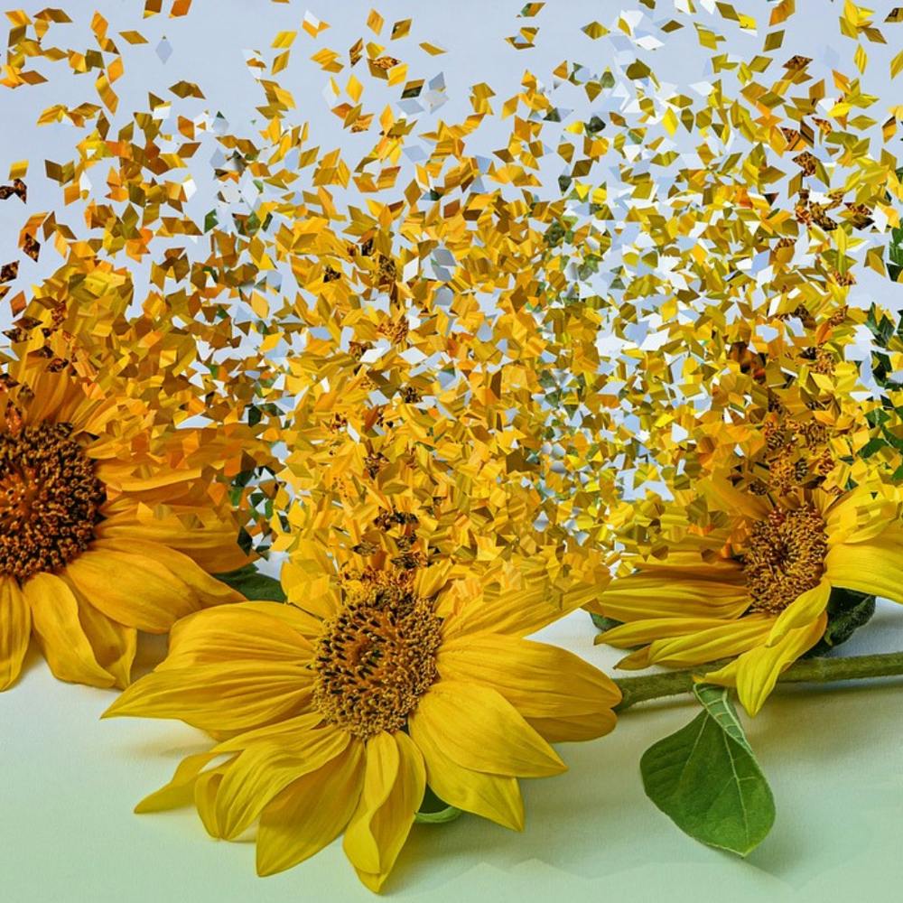 Sunflowers With Confetti