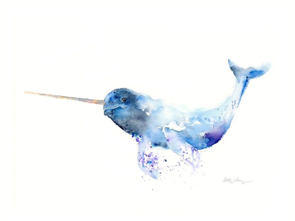 Nomadic Narwhal Watercolor