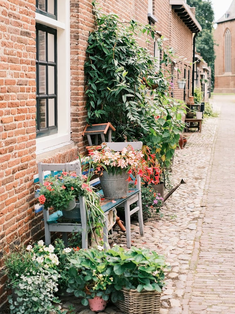 Street full of flowers in Elburg // The Netherlands // Travel Photography