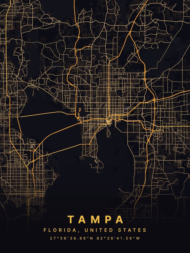 Tampa Florida USA Black And Gold Map