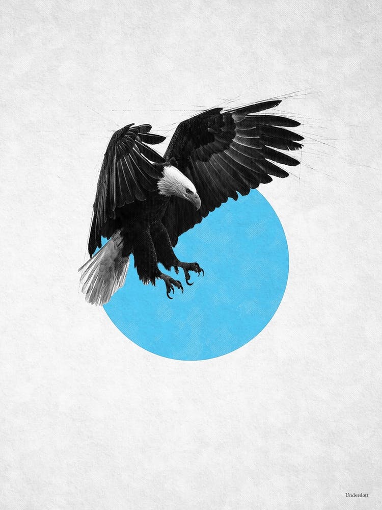 Like An Eagle