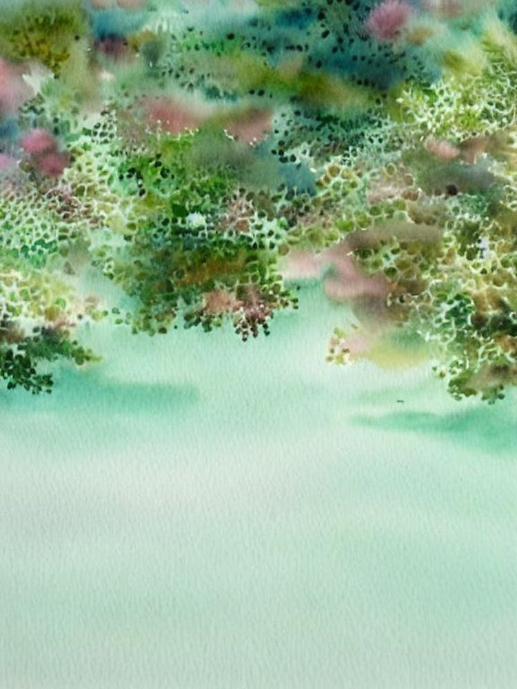 Acropora Secale Ii Storybook Watercolour