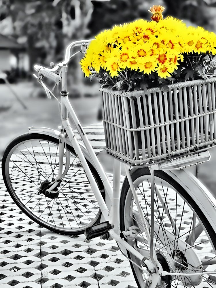 Yellow Flowers On A Bicycle